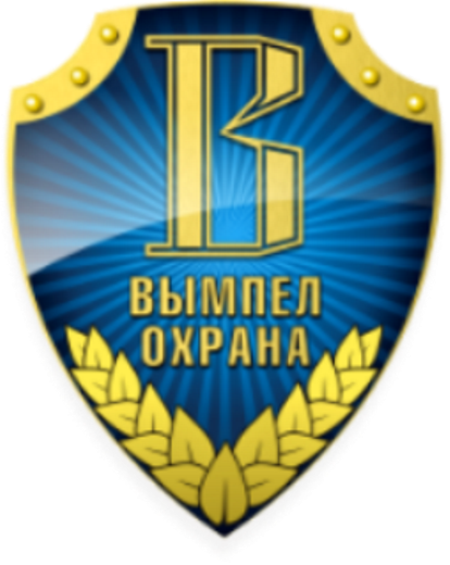 Профессионая охрана