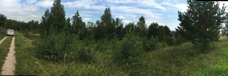   20 