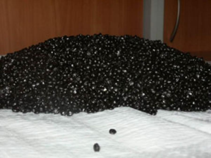 eo epocoac  apoa T-