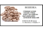 Грибные блоки ВЕШЕНКА
