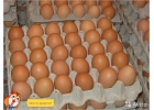 Яйцо куриное от производителя различных категорий