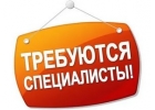 Приглашаем на работу авторов по написанию студенческих работ