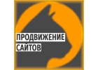 Продвижение и создание сайтов