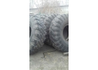 шины 1500500-610 R-24 ВИ-202 урагановские