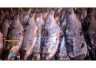 Рыба вяленая Сорожка по цене 350 руб.кг.